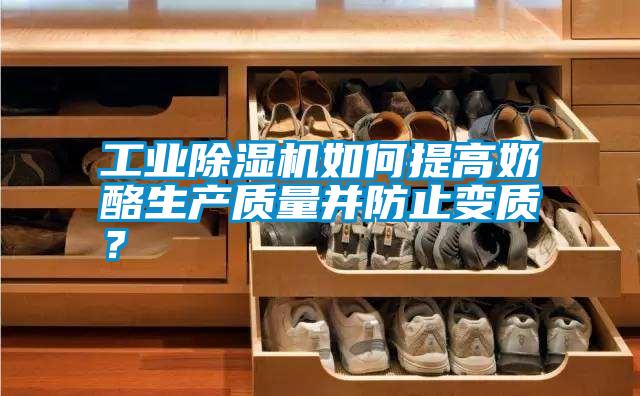 工業(yè)除濕機(jī)如何提高奶酪生產(chǎn)質(zhì)量并防止變質(zhì)？