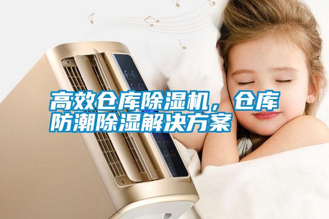高效倉庫除濕機，倉庫防潮除濕解決方案