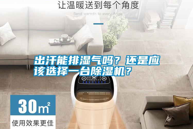 出汗能排濕氣嗎？還是應(yīng)該選擇一臺除濕機？