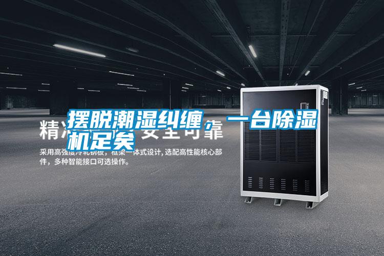 擺脫潮濕糾纏，一臺除濕機足矣