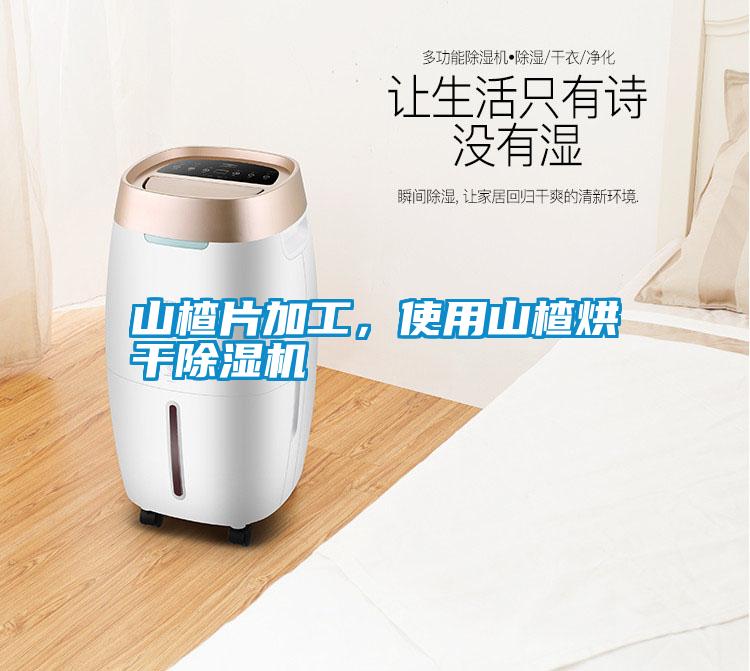 山楂片加工，使用山楂烘干除濕機