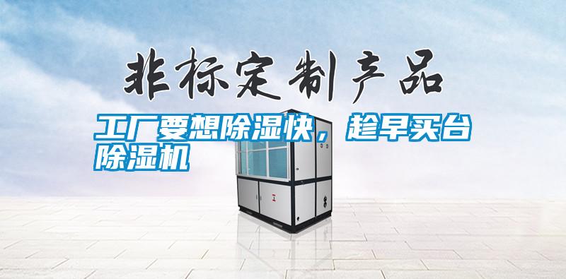 工廠要想除濕快，趁早買臺除濕機