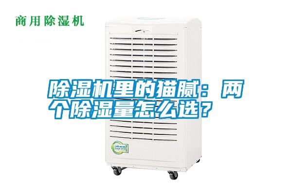 除濕機里的貓膩：兩個除濕量怎么選？