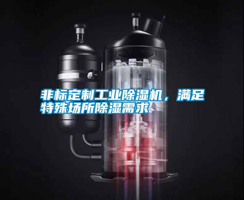非標(biāo)定制工業(yè)除濕機(jī),滿足特殊場(chǎng)所除濕需求