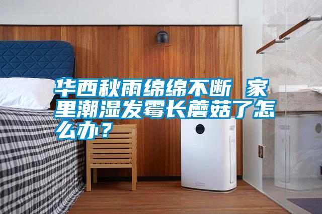 華西秋雨綿綿不斷 家里潮濕發(fā)霉長蘑菇了怎么辦？