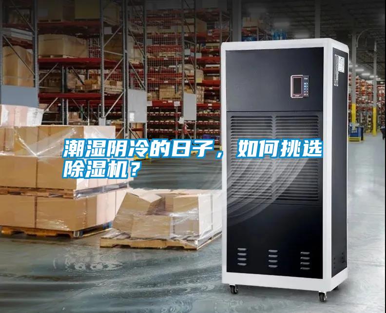 潮濕陰冷的日子，如何挑選除濕機(jī)？