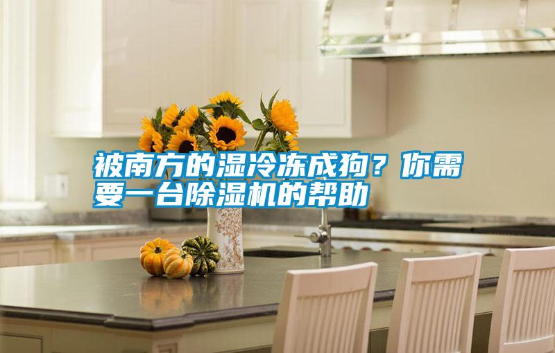被南方的濕冷凍成狗？你需要一臺除濕機的幫助