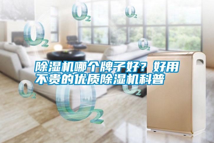 除濕機(jī)哪個(gè)牌子好？好用不貴的優(yōu)質(zhì)除濕機(jī)科普
