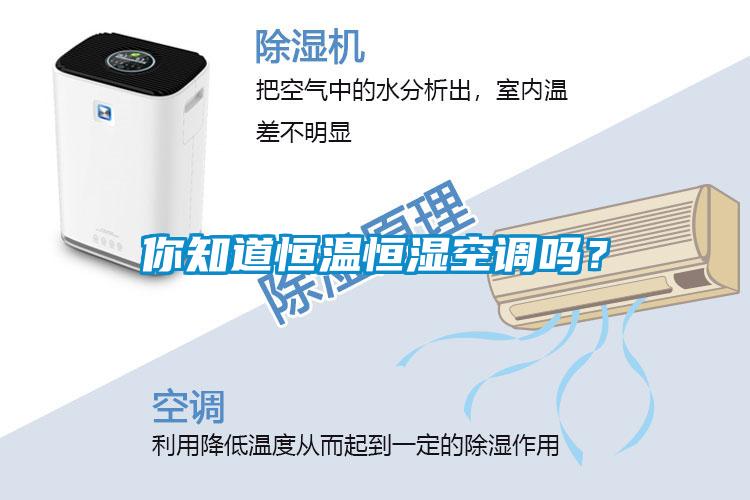 你知道恒溫恒濕空調(diào)嗎？
