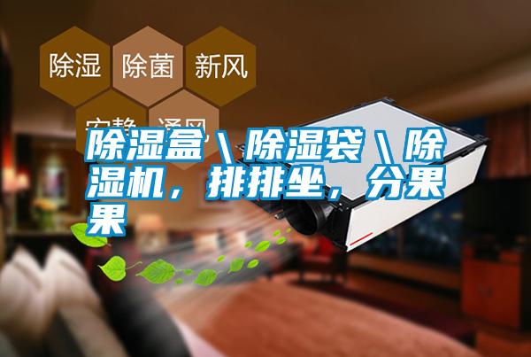 除濕盒＼除濕袋＼除濕機，排排坐，分果果