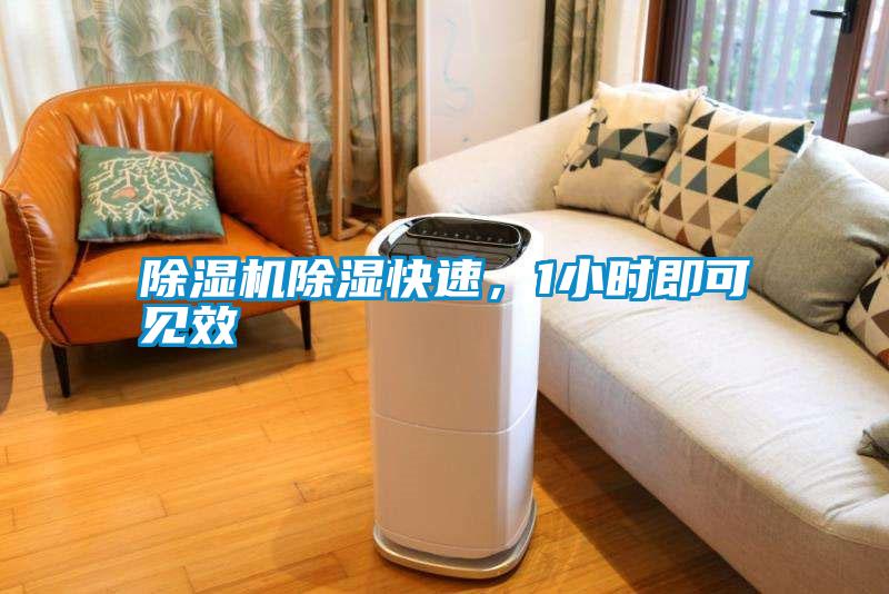 除濕機(jī)除濕快速，1小時(shí)即可見效