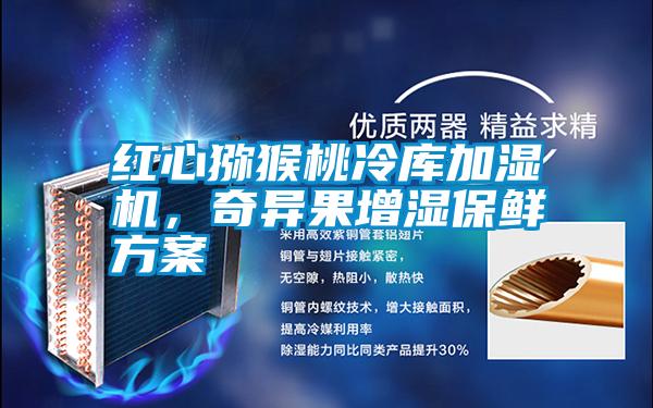 紅心獼猴桃冷庫加濕機，奇異果增濕保鮮方案