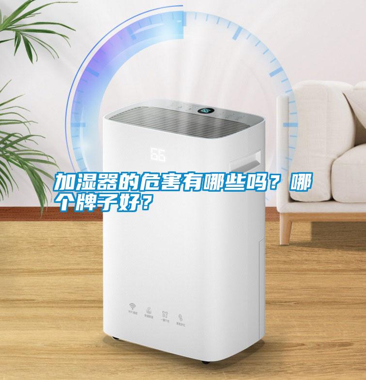 加濕器的危害有哪些嗎？哪個牌子好？