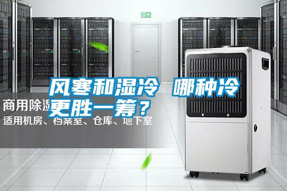 風(fēng)寒和濕冷 哪種冷更勝一籌？