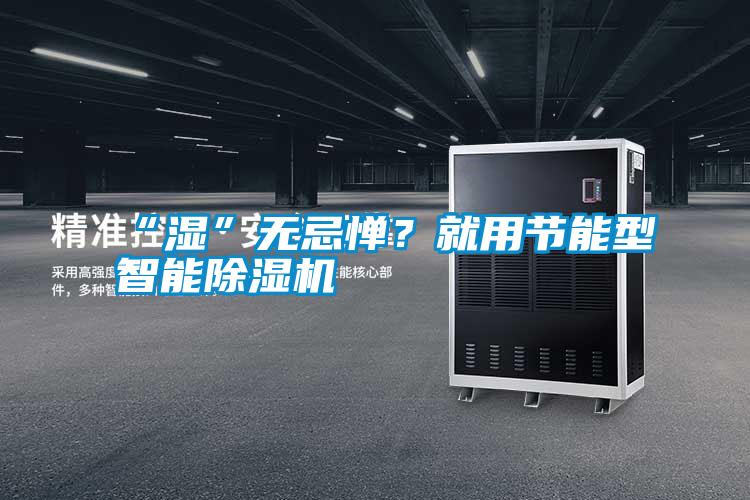 “濕”無忌憚？就用節(jié)能型智能除濕機