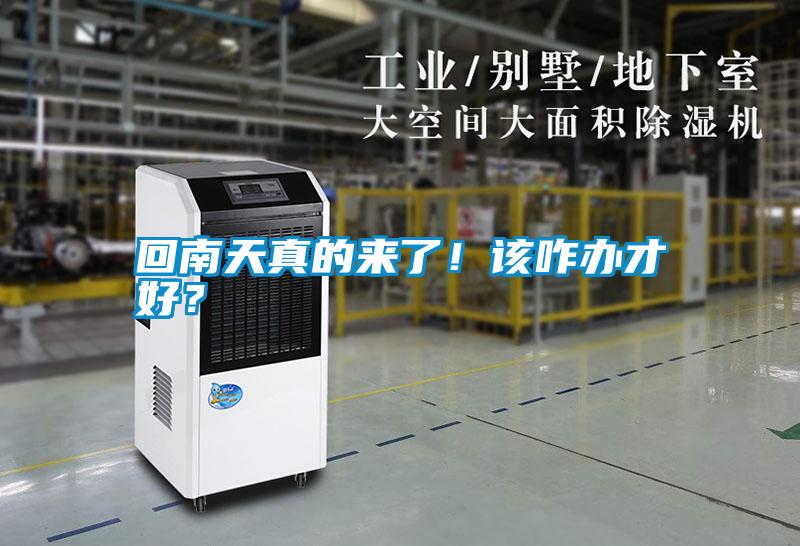 回南天真的來(lái)了！該咋辦才好？