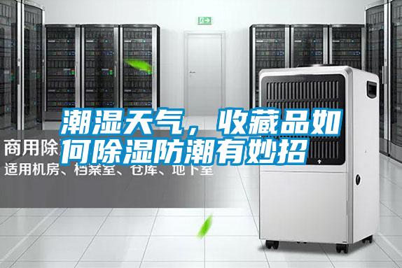潮濕天氣，收藏品如何除濕防潮有妙招