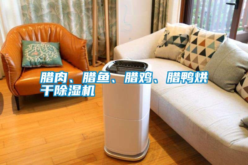 臘肉、臘魚、臘雞、臘鴨烘干除濕機(jī)
