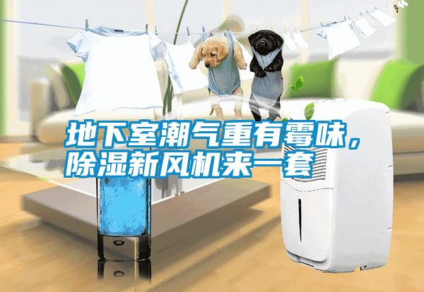 地下室潮氣重有霉味，除濕新風機來一套