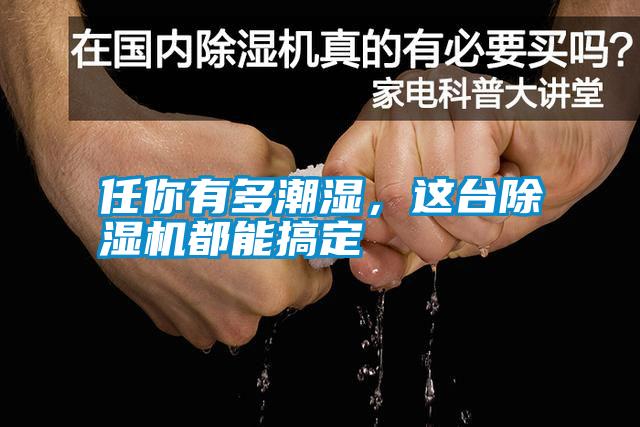 任你有多潮濕，這臺除濕機都能搞定