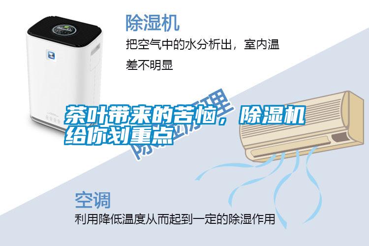 茶葉帶來的苦惱，除濕機給你劃重點