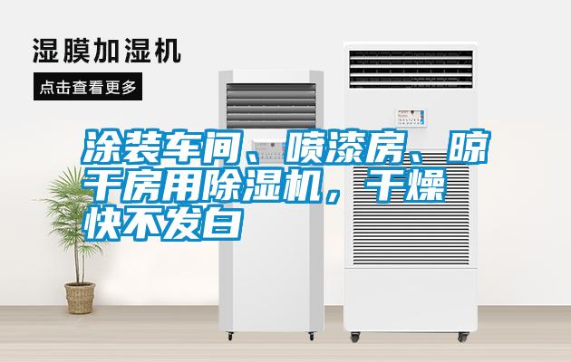 涂裝車間、噴漆房、晾干房用除濕機，干燥快不發(fā)白
