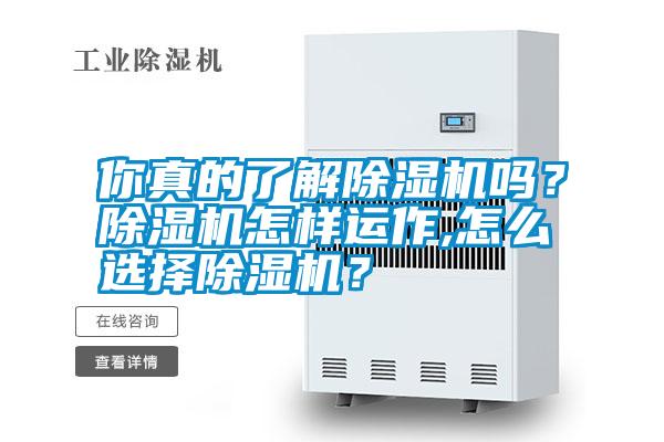你真的了解除濕機(jī)嗎？除濕機(jī)怎樣運(yùn)作,怎么選擇除濕機(jī)？