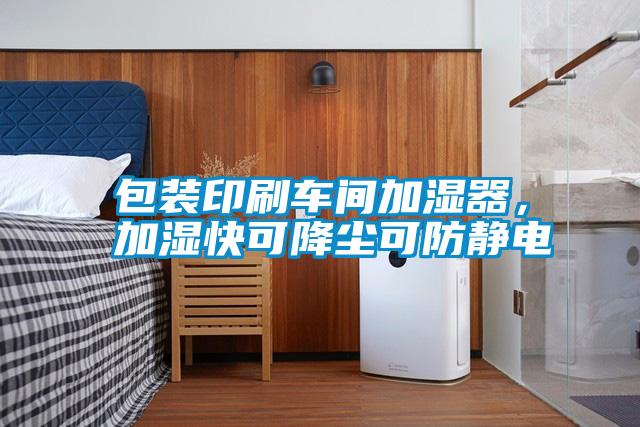 包裝印刷車間加濕器，加濕快可降塵可防靜電