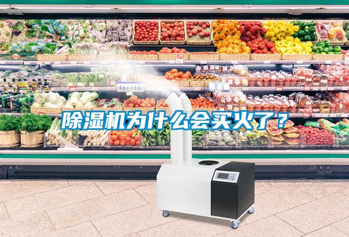 除濕機(jī)為什么會買火了？