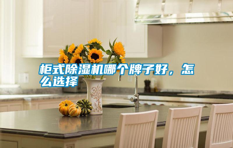 柜式除濕機(jī)哪個牌子好，怎么選擇