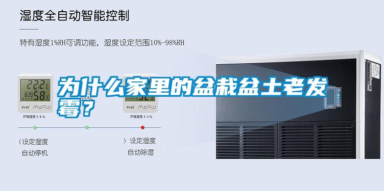 為什么家里的盆栽盆土老發(fā)霉？