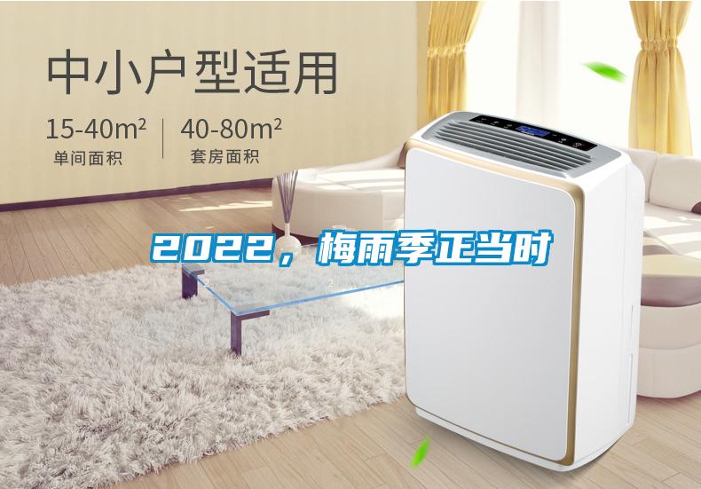 2022，梅雨季正當(dāng)時(shí)