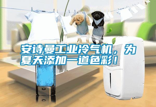 安詩(shī)曼工業(yè)冷氣機(jī)，為夏天添加一道色彩！