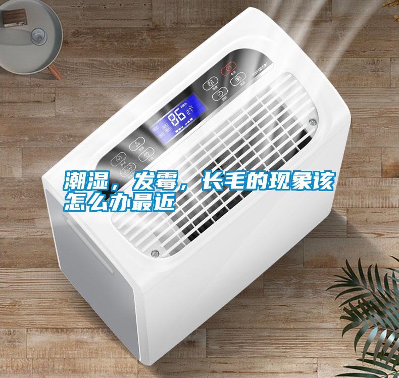 潮濕，發(fā)霉，長毛的現(xiàn)象該怎么辦最近