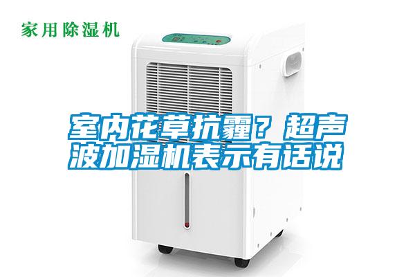 室內(nèi)花草抗霾？超聲波加濕機(jī)表示有話說