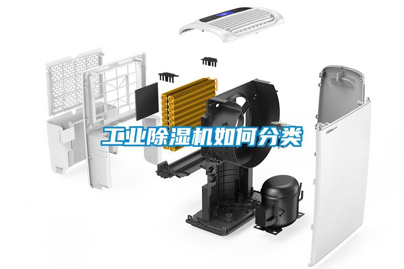 工業(yè)除濕機(jī)如何分類(lèi)