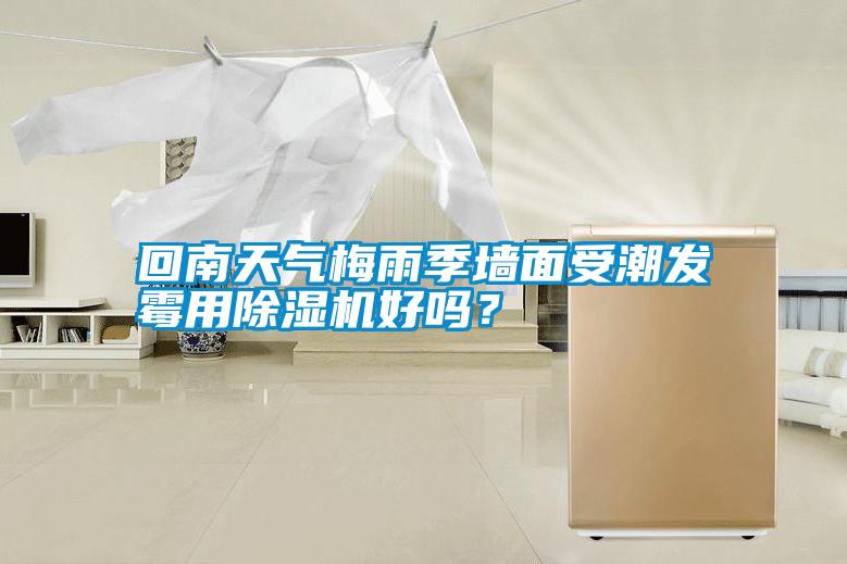 回南天氣梅雨季墻面受潮發(fā)霉用除濕機好嗎？