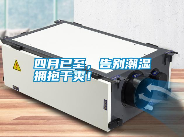 四月已至，告別潮濕擁抱干爽！