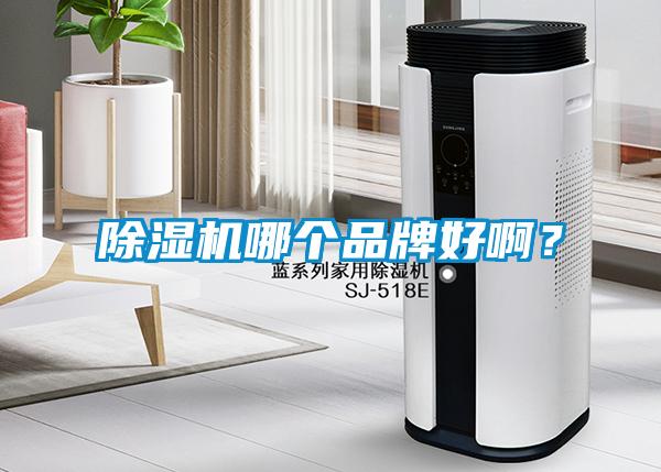 除濕機哪個品牌好??？