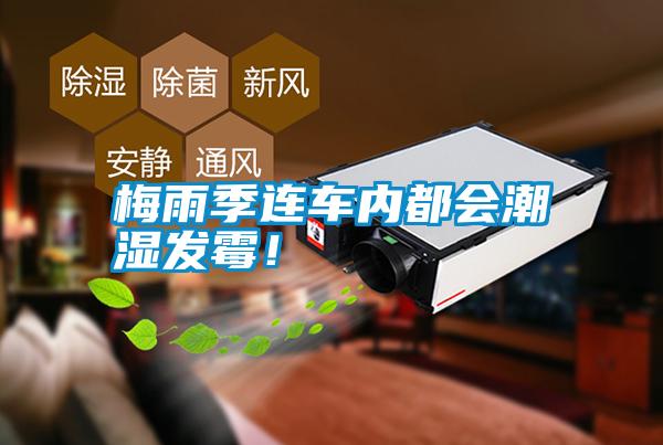 梅雨季連車內都會潮濕發(fā)霉！
