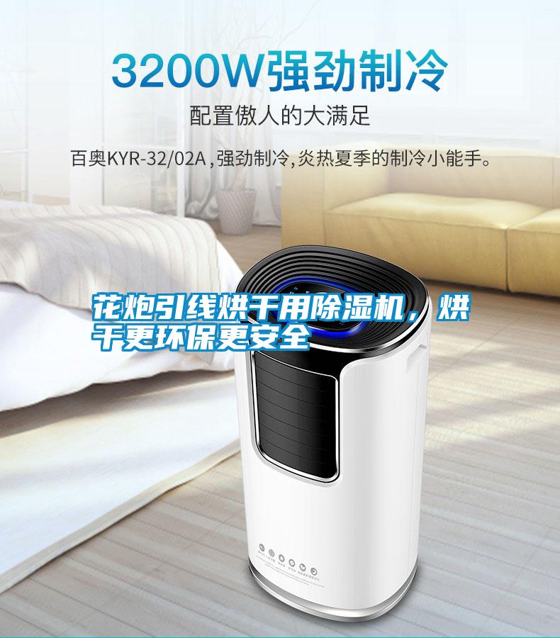 花炮引線烘干用除濕機(jī)，烘干更環(huán)保更安全