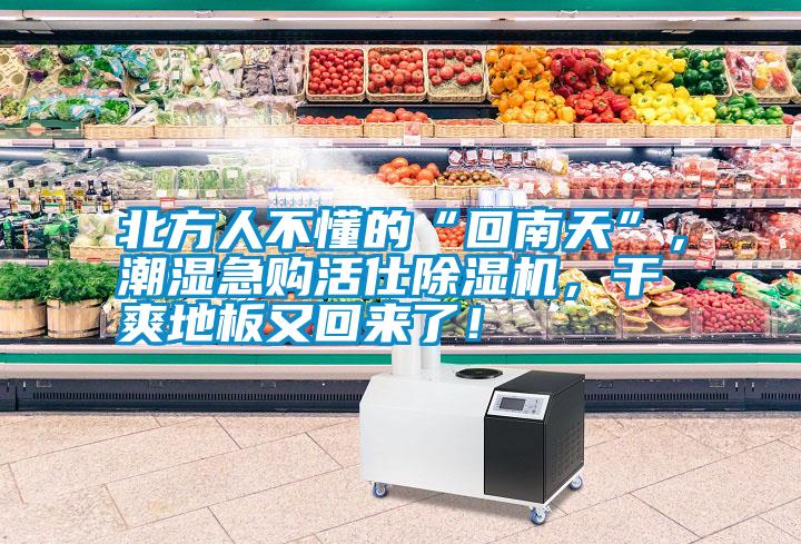 北方人不懂的“回南天”，潮濕急購活仕除濕機，干爽地板又回來了！