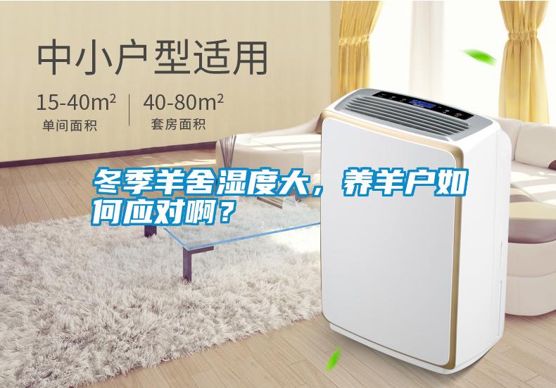 冬季羊舍濕度大，養(yǎng)羊戶如何應(yīng)對(duì)??？