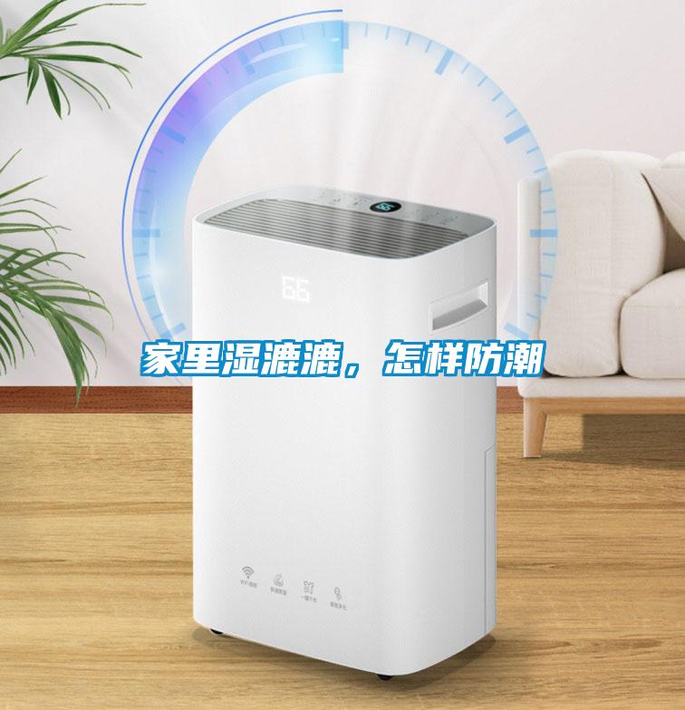 家里濕漉漉，怎樣防潮