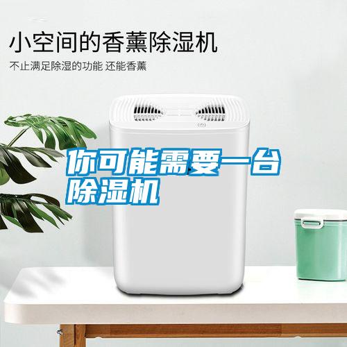你可能需要一臺除濕機(jī)