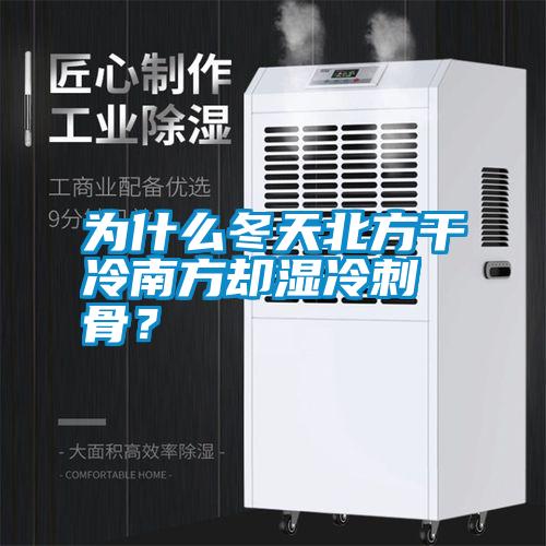為什么冬天北方干冷南方卻濕冷刺骨？