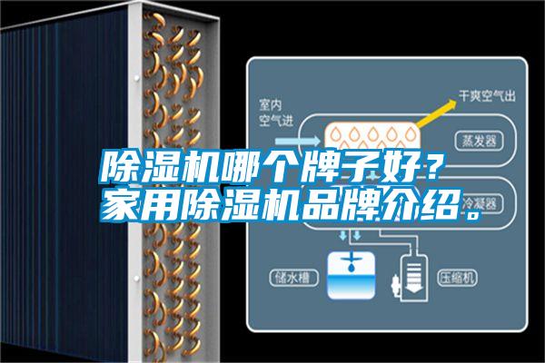除濕機哪個牌子好？家用除濕機品牌介紹。