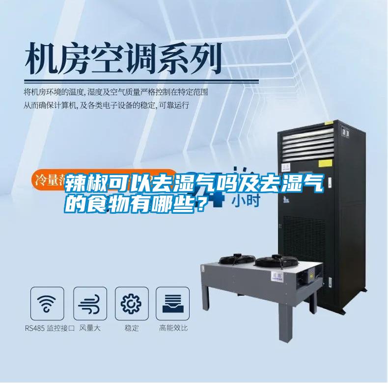 辣椒可以去濕氣嗎及去濕氣的食物有哪些？