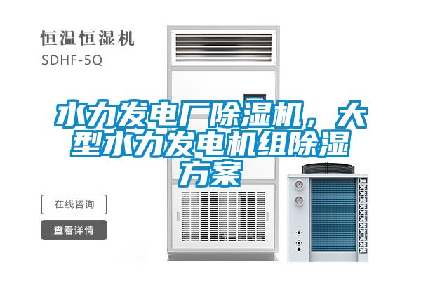 水力發(fā)電廠除濕機(jī)，大型水力發(fā)電機(jī)組除濕方案