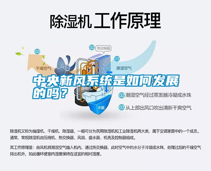 中央新風(fēng)系統(tǒng)是如何發(fā)展的嗎？